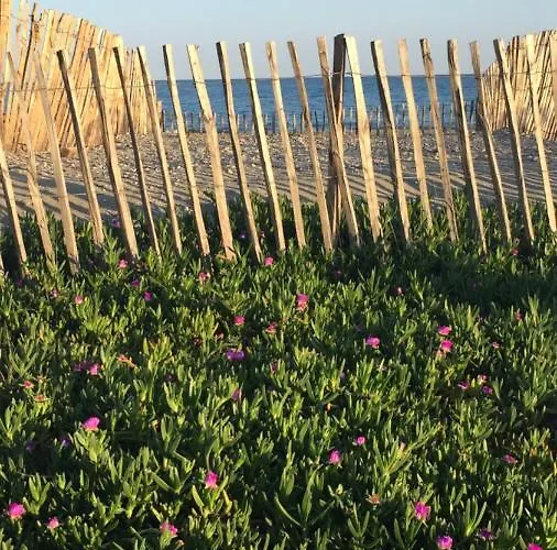 Tropical 2 * Vic-la-Gardiole